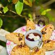 Healthy Fruit & Nut Scones