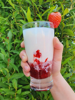 Foto resep 16. Korean Milk Strawberry 🍓