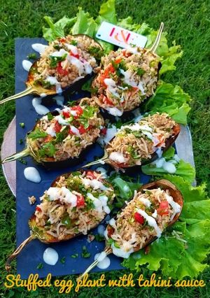 A picture of Stuffed eggplant with tahini sauce.