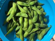 Gambar edamame crispy