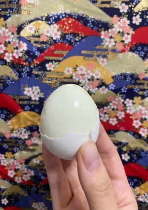 氣炸鍋_水煮蛋 的食譜成品照片