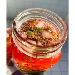 A picture of Rooh Afza Mojito.
