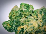 Gambar keripik bayam