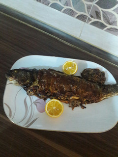 عکسی از دستور ماهی شکم پر 🐟