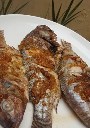 A picture of Grilled fish.