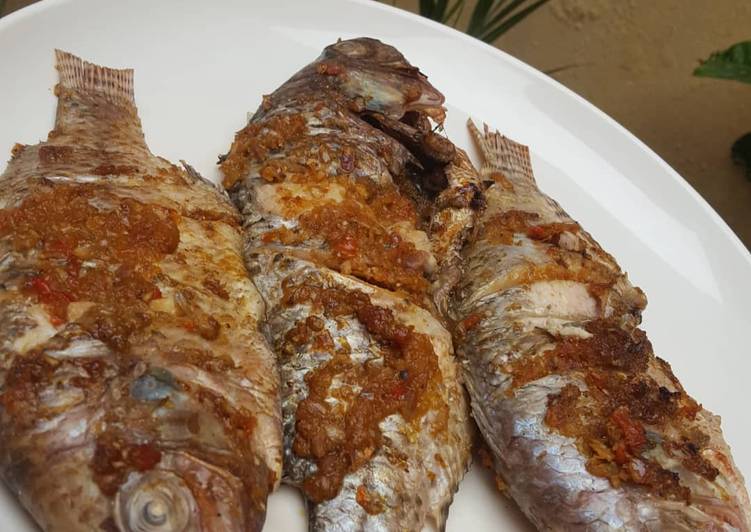 Recipe of Favorite Grilled fish