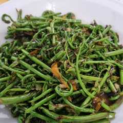 รูปของ Tumis pakis terasi