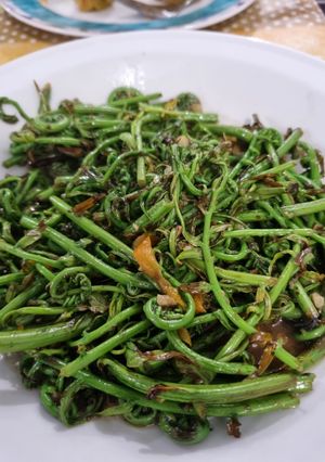 Foto resep Tumis pakis terasi
