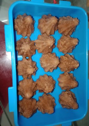 A picture of Suji modak.