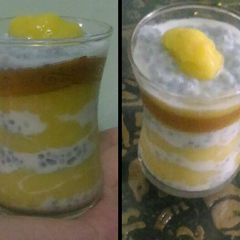 A picture of Mango chia magic.