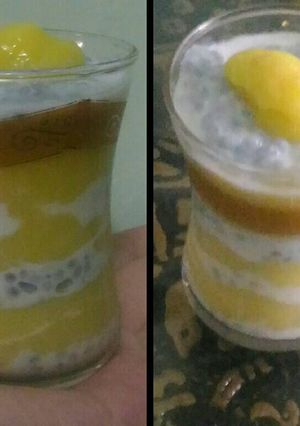 A picture of Mango chia magic.