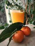 Zumo especial de Mandarina