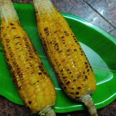 A picture of Baked and roasted sweet corn.