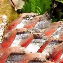 A picture of How to Break Down Pacific Saury for Fresh Sashimi at Home.