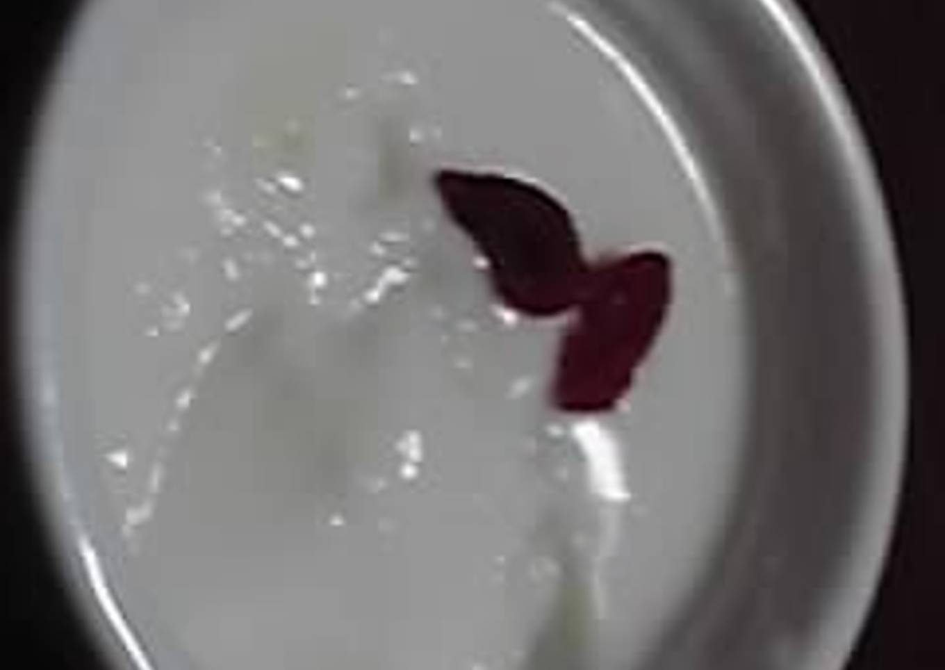 Rich, Thick, Almond Jelly