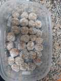 Trufas de vainilla y coco (para hacer con los chicos)