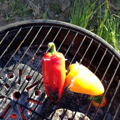 A picture of Barbequed cheese stuffed peppers..