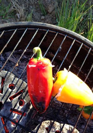 A picture of Barbequed cheese stuffed peppers..