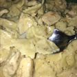 Creamy Chicken & Bowtie Pasta