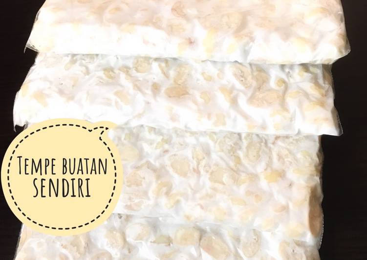 Bagaimana Membuat Membuat Tempe di Negara 4 Musim yang Lezat