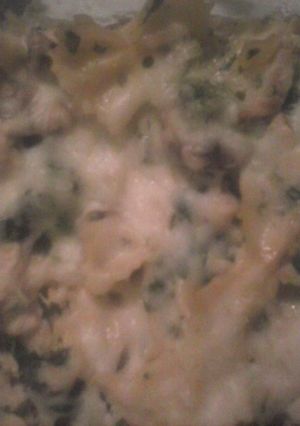 A picture of Chicken & veggiesAlfredo casserole.