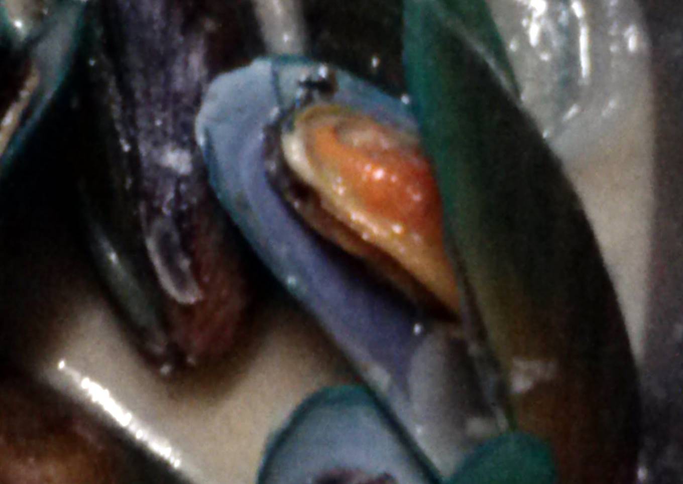 Strong Mussel Soup