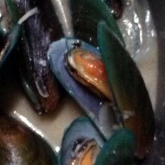 A picture of Strong Mussel Soup.