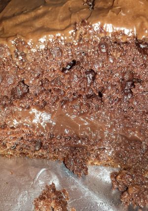 A picture of Elisa's Triple Chocolate Cake.