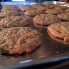 A picture of Oatmeal Chocolate Chip Lactation Cookies.