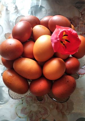 Фото Крашанки.