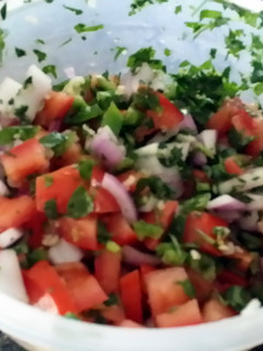 A picture of Salsa.