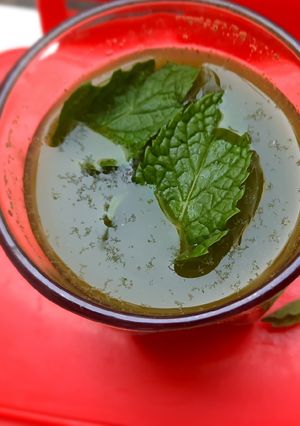 ફુદીના નું શરબત (Pudina Sharbat Recipe In Gujarati) રેસીપી મુખ્ય ફોટો