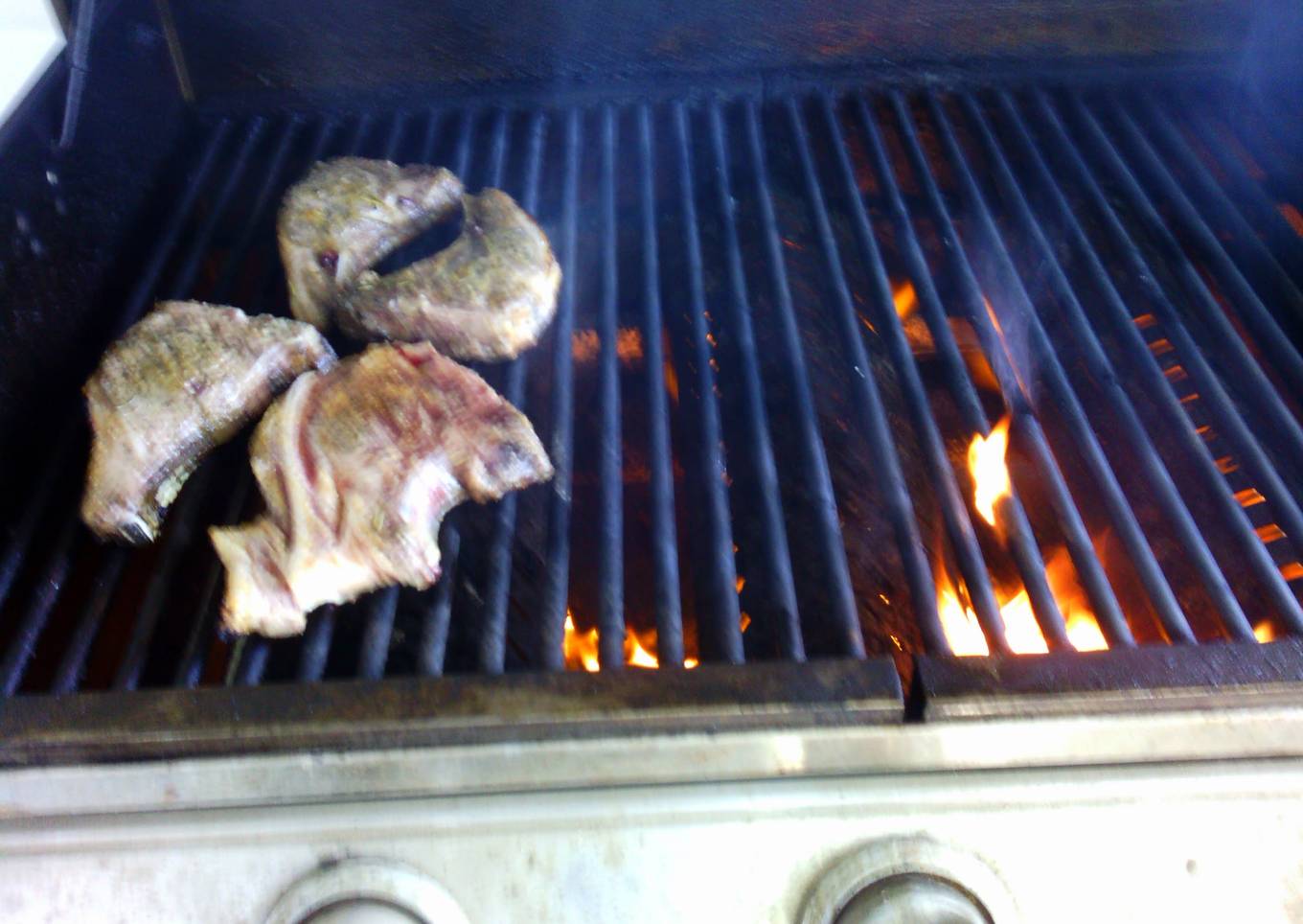 lamb chops for barbecue