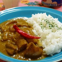 A picture of Our Family Recipe for Coconut Milk Curry.