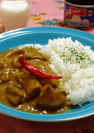 A picture of Our Family Recipe for Coconut Milk Curry.