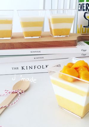 芒果優格奶酪 的食譜成品照片
