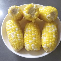 A picture of Boiled Sweet Corn.