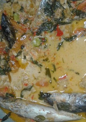 Foto resep Ikan tongkol masak santan
