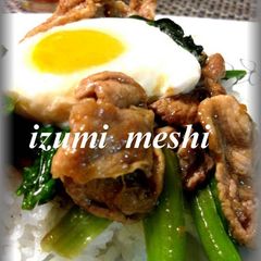 A picture of Curry Flavored Pork Rice Bowl with Leftover Mango Chutney.