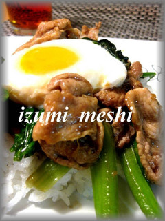 A picture of Curry Flavored Pork Rice Bowl with Leftover Mango Chutney.