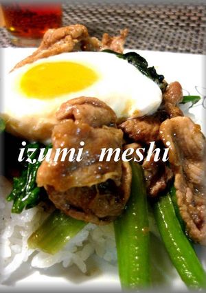 A picture of Curry Flavored Pork Rice Bowl with Leftover Mango Chutney.