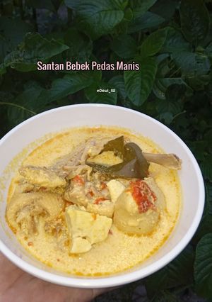 Foto resep Santan Bebek Pedas Manis