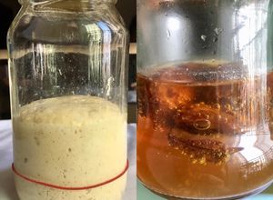 Foto resep Sourdough Starter dari Yeast Water