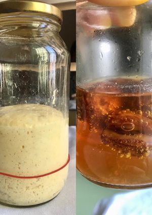 Foto resep Sourdough Starter dari Yeast Water