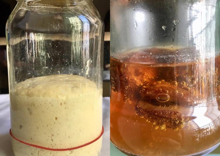 Resep Sourdough Starter dari Yeast Water Anti Gagal