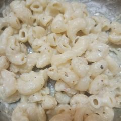 A picture of White Sauce Pasta.