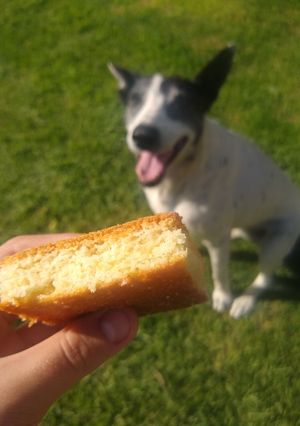 Una foto de Lemonies🍋
