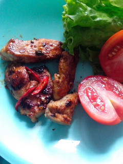 A picture of Healthy roasted chicken fillet, no salt no sugar no msg.