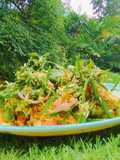 Kerabu Daun Selom