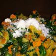 Revuelto de verduras y queso